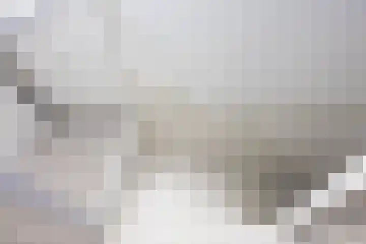 Hooischelf 21 Malden thumbnail 32