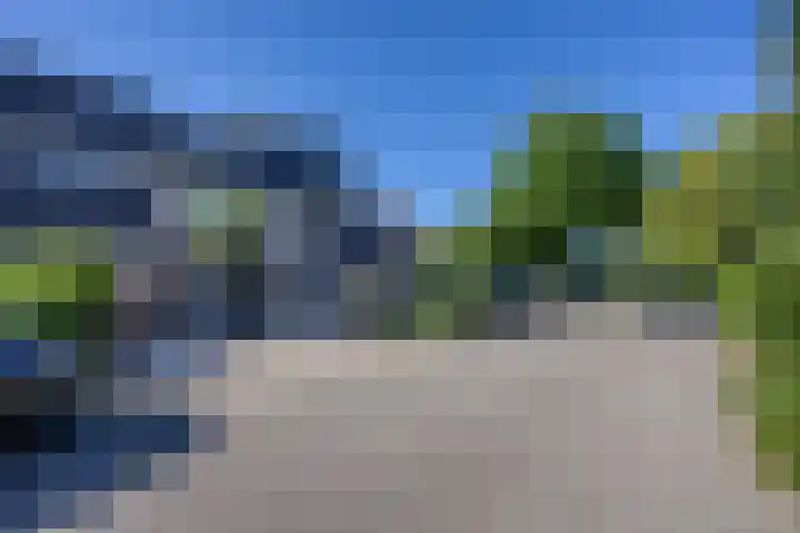 Hooischelf 21 Malden thumbnail 37