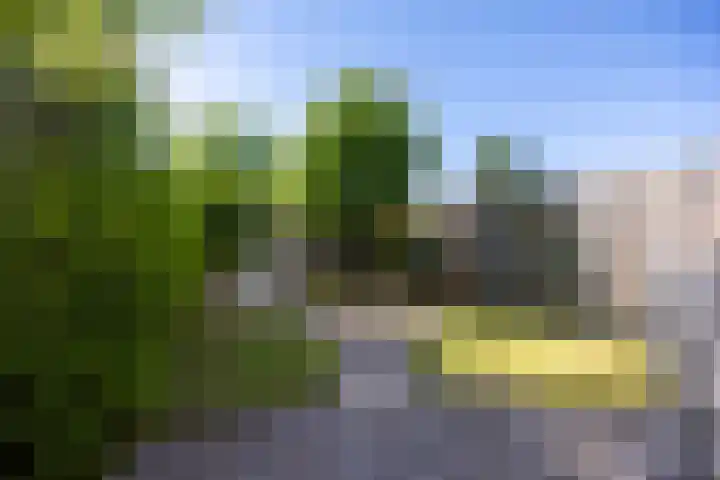 Hooischelf 21 Malden thumbnail 38