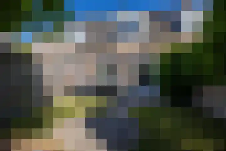 Hooischelf 21 Malden thumbnail 39