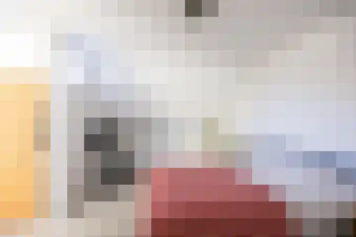 Hooischelf 21 Malden thumbnail 4