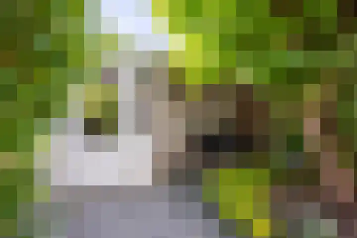 Hooischelf 21 Malden thumbnail 41
