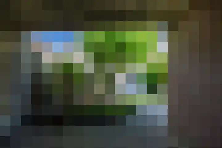 Hooischelf 21 Malden thumbnail 43