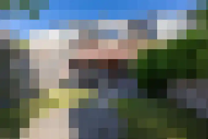 Hooischelf 21 Malden thumbnail 44