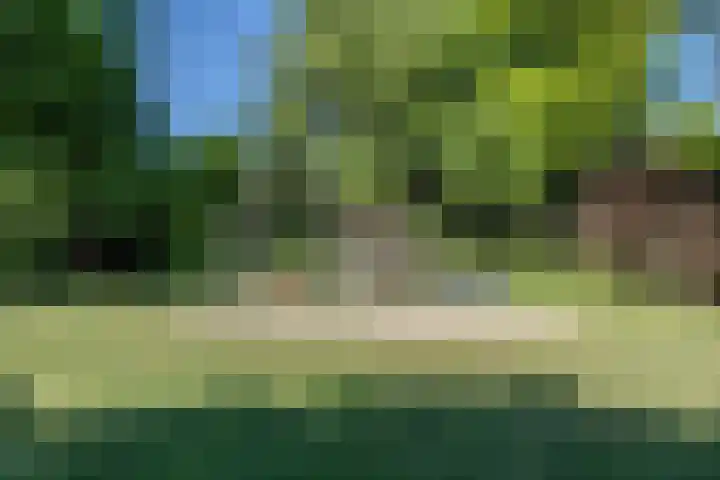 Hooischelf 21 Malden thumbnail 45