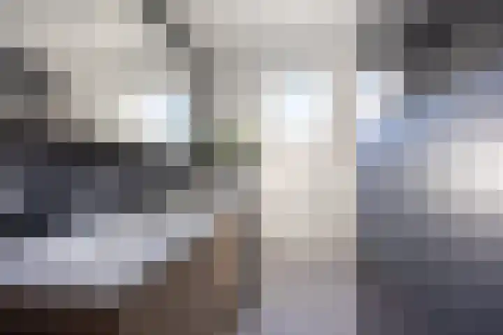 Hooischelf 21 Malden thumbnail 5