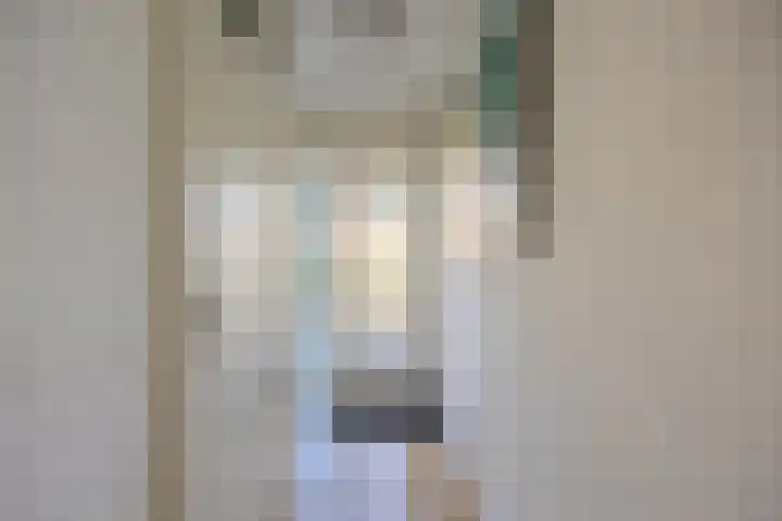 Hooischelf 21 Malden thumbnail 6