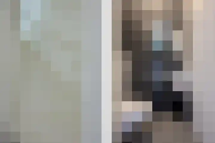 Hooischelf 21 Malden thumbnail 7