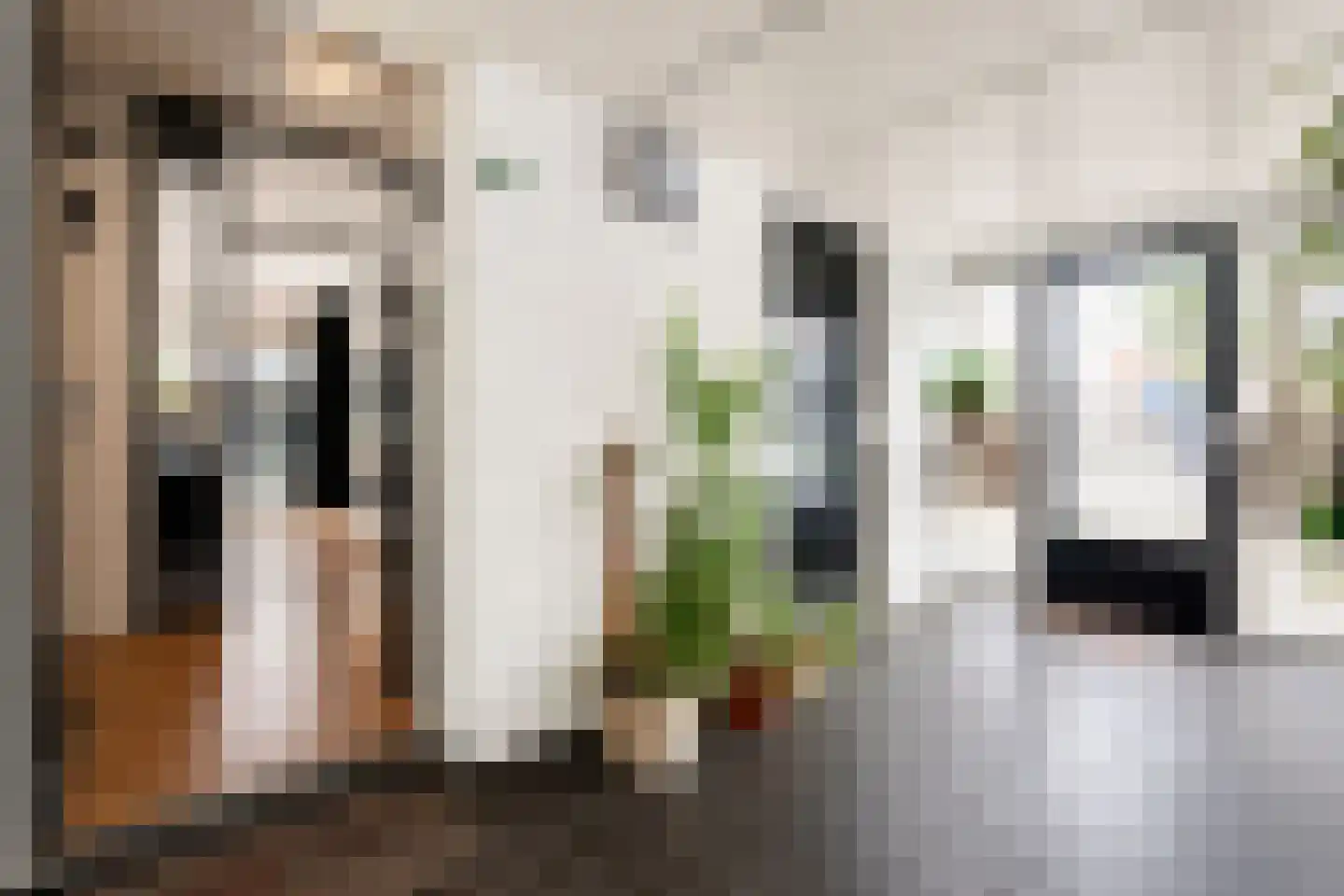 Hooischelf 7 Hellevoetsluis thumbnail 6