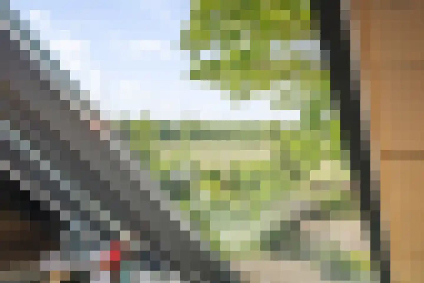 Hooislagen 7 c Lochem thumbnail 19