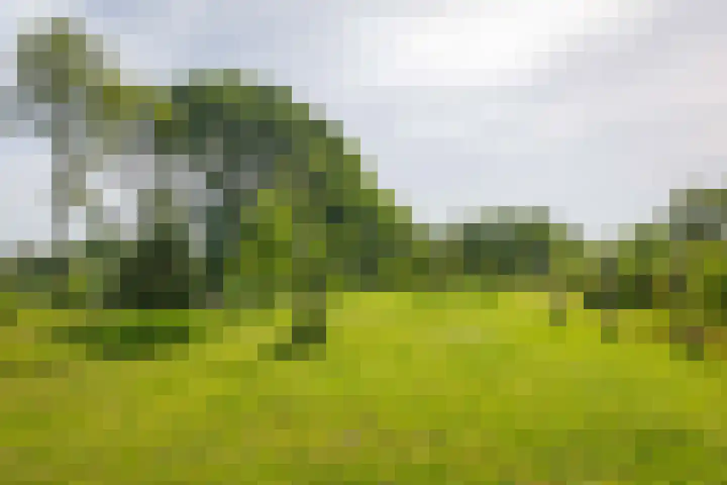 Hooislagen 7 c Lochem thumbnail 36