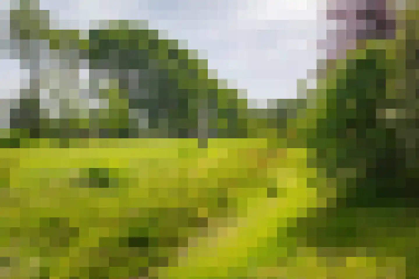 Hooislagen 7 c Lochem thumbnail 38