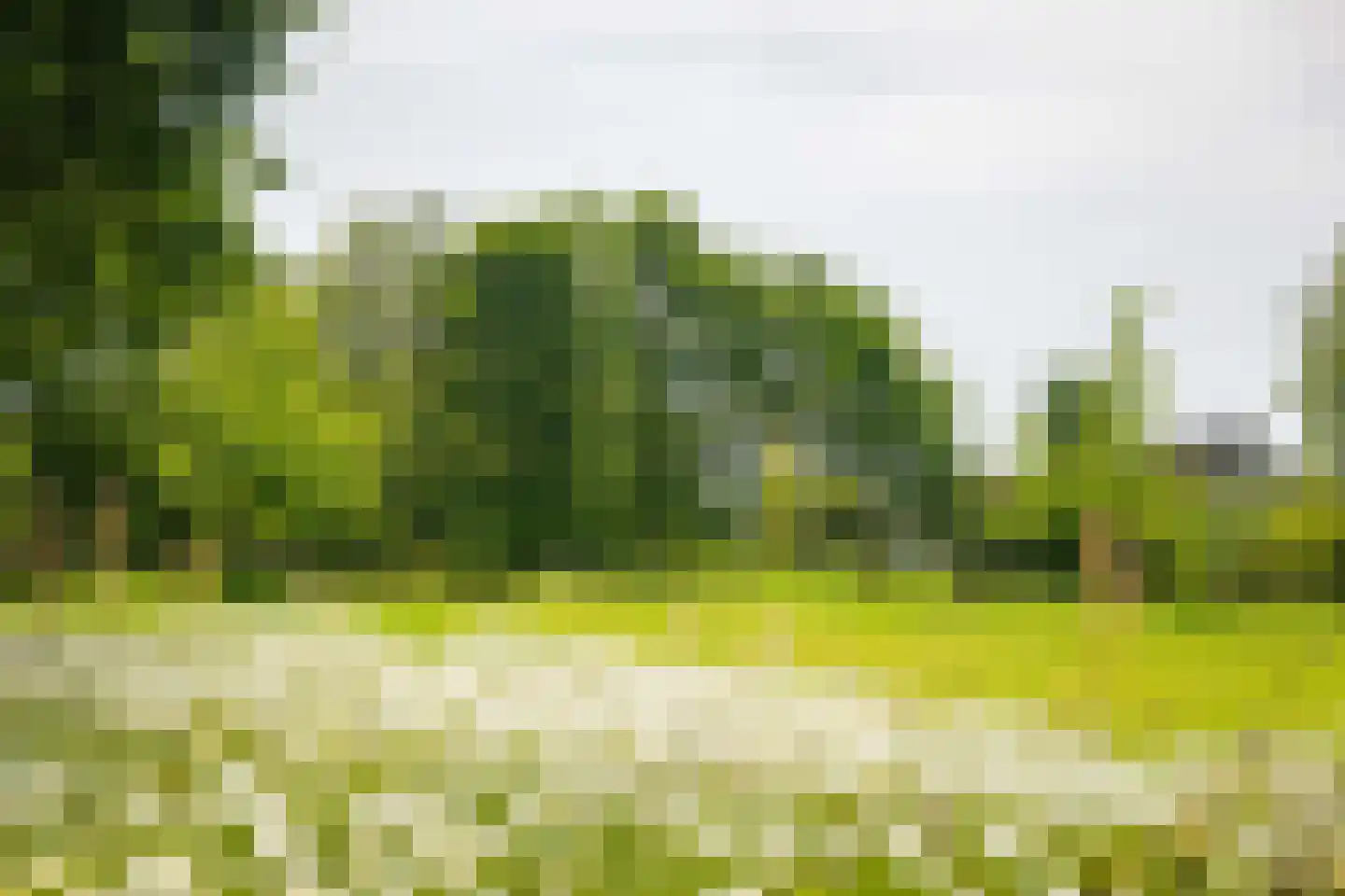 Hooislagen 7 c Lochem thumbnail 39