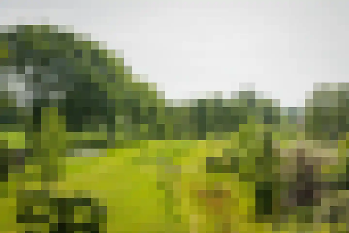 Hooislagen 7 c Lochem thumbnail 43