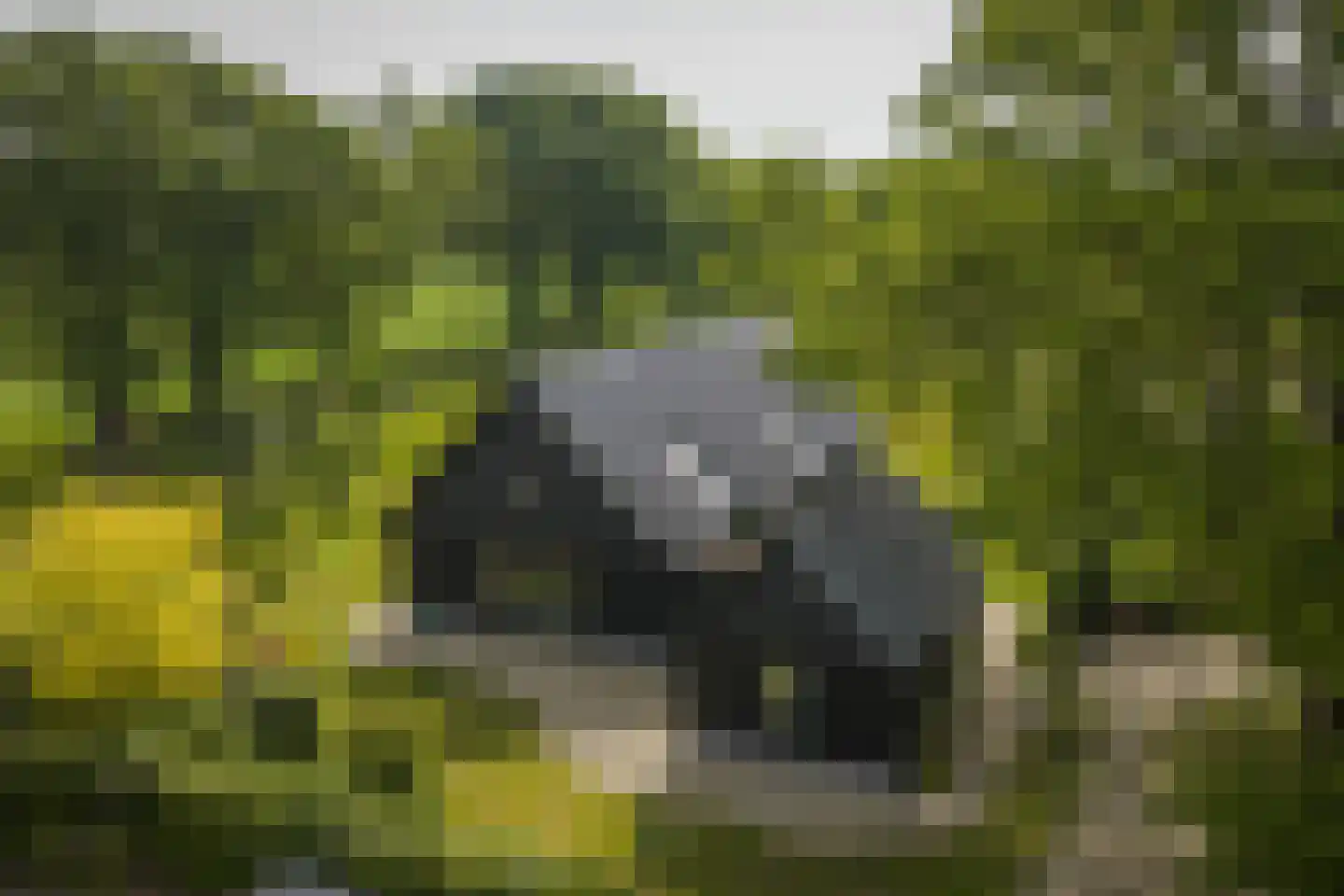 Hooislagen 7 c Lochem thumbnail 44