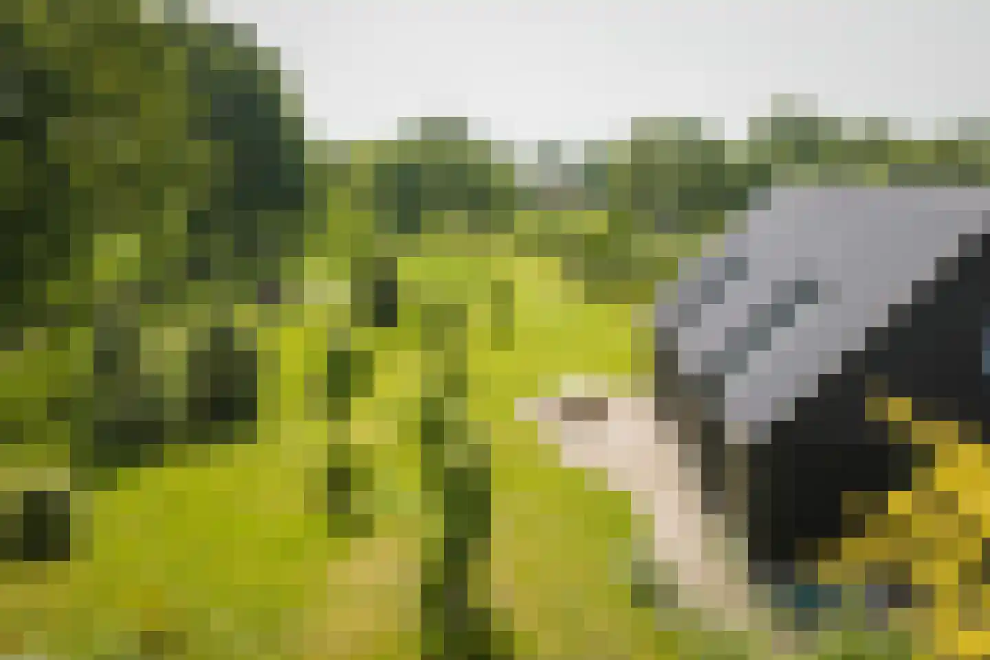 Hooislagen 7 c Lochem thumbnail 45