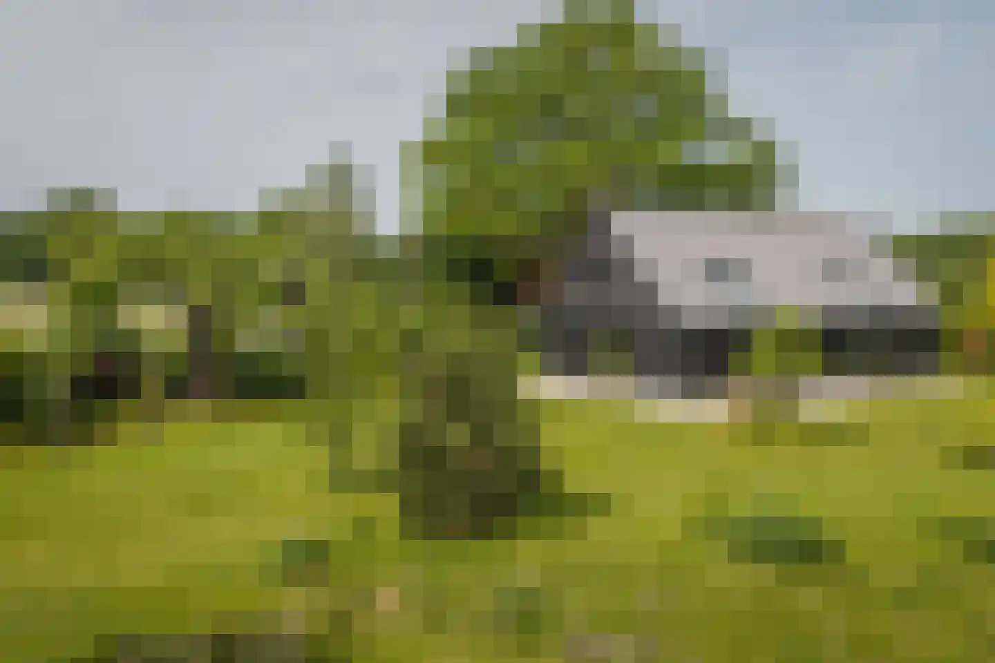 Hooislagen 7 c Lochem thumbnail 47