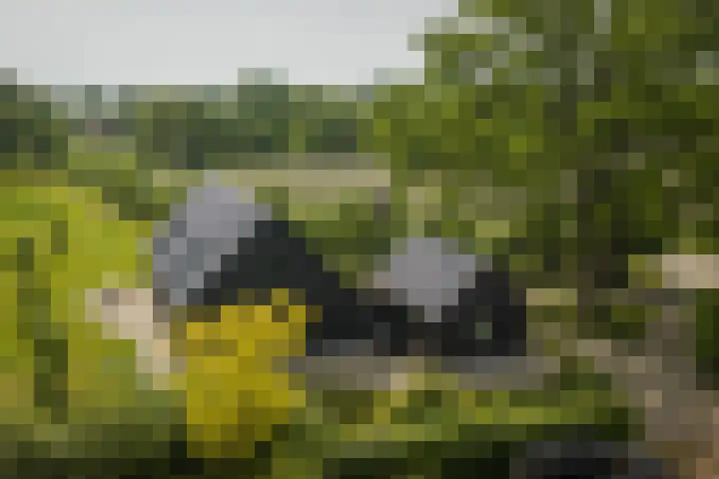 Hooislagen 7 c Lochem thumbnail 53