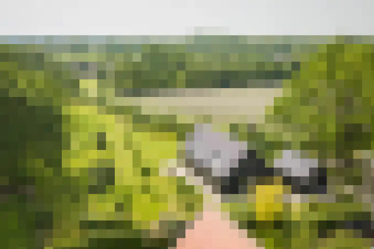 Hooislagen 7 c Lochem thumbnail 56