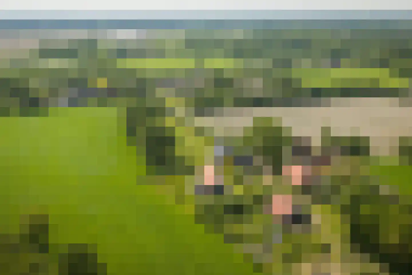 Hooislagen 7 c Lochem thumbnail 59