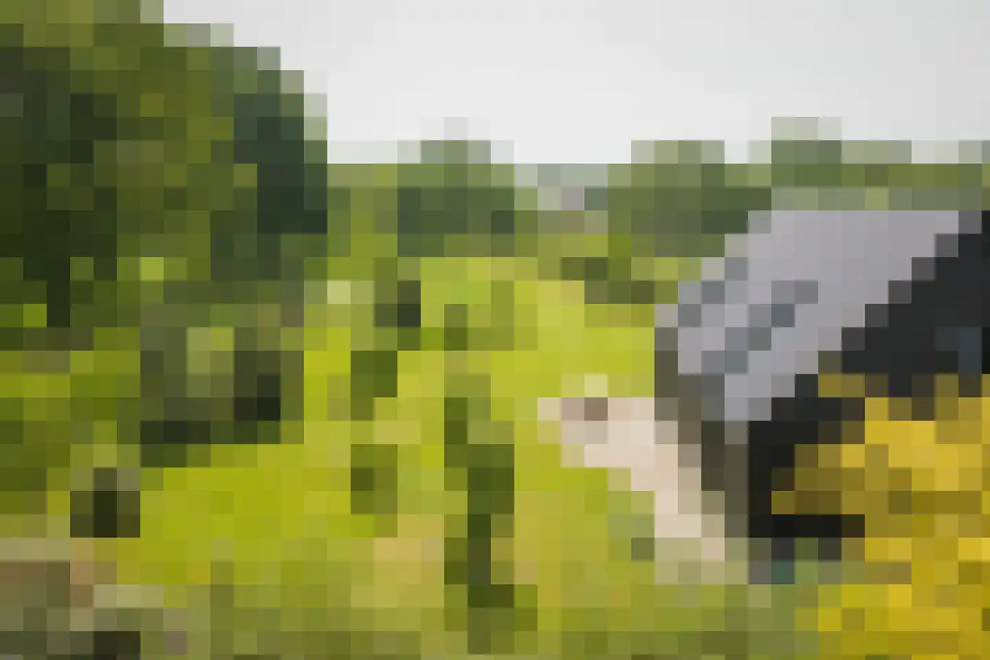 Hooislagen 7 c Lochem thumbnail 6