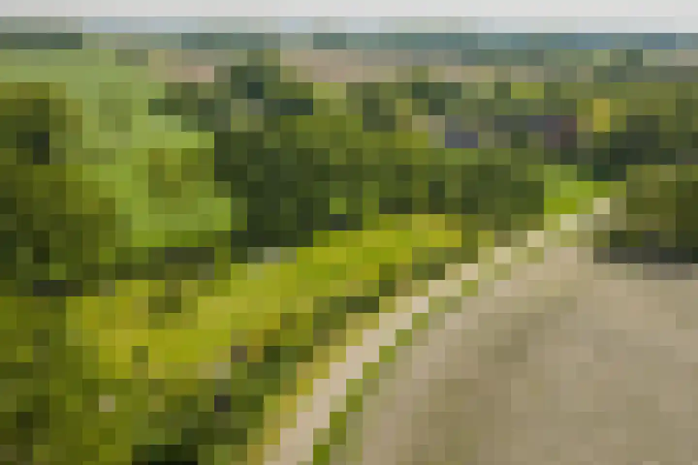 Hooislagen 7 c Lochem thumbnail 60