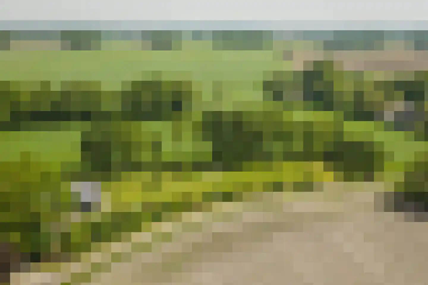 Hooislagen 7 c Lochem thumbnail 61