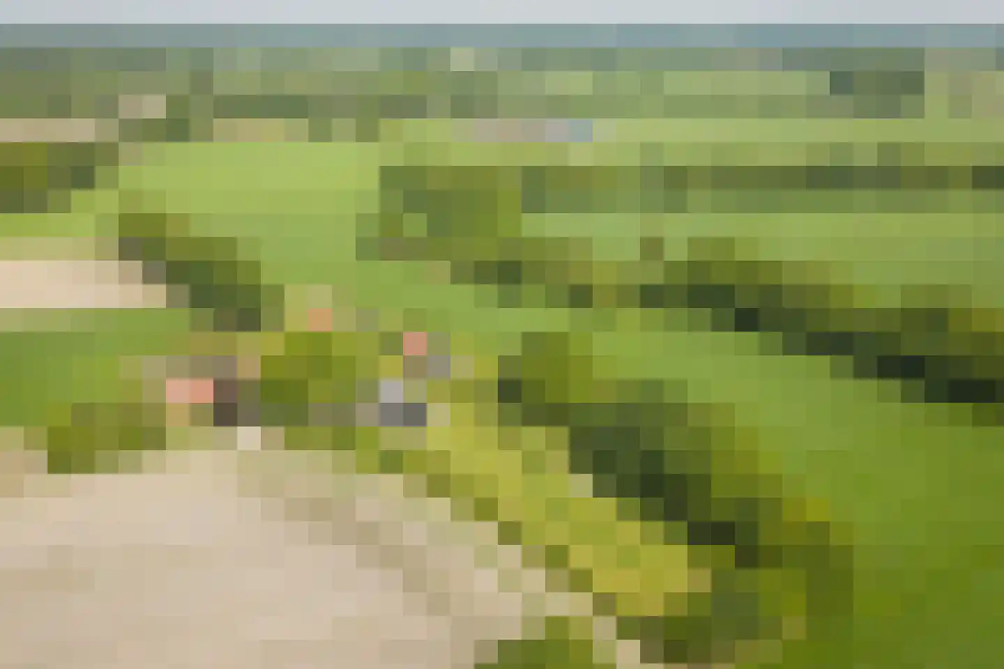 Hooislagen 7 c Lochem thumbnail 62