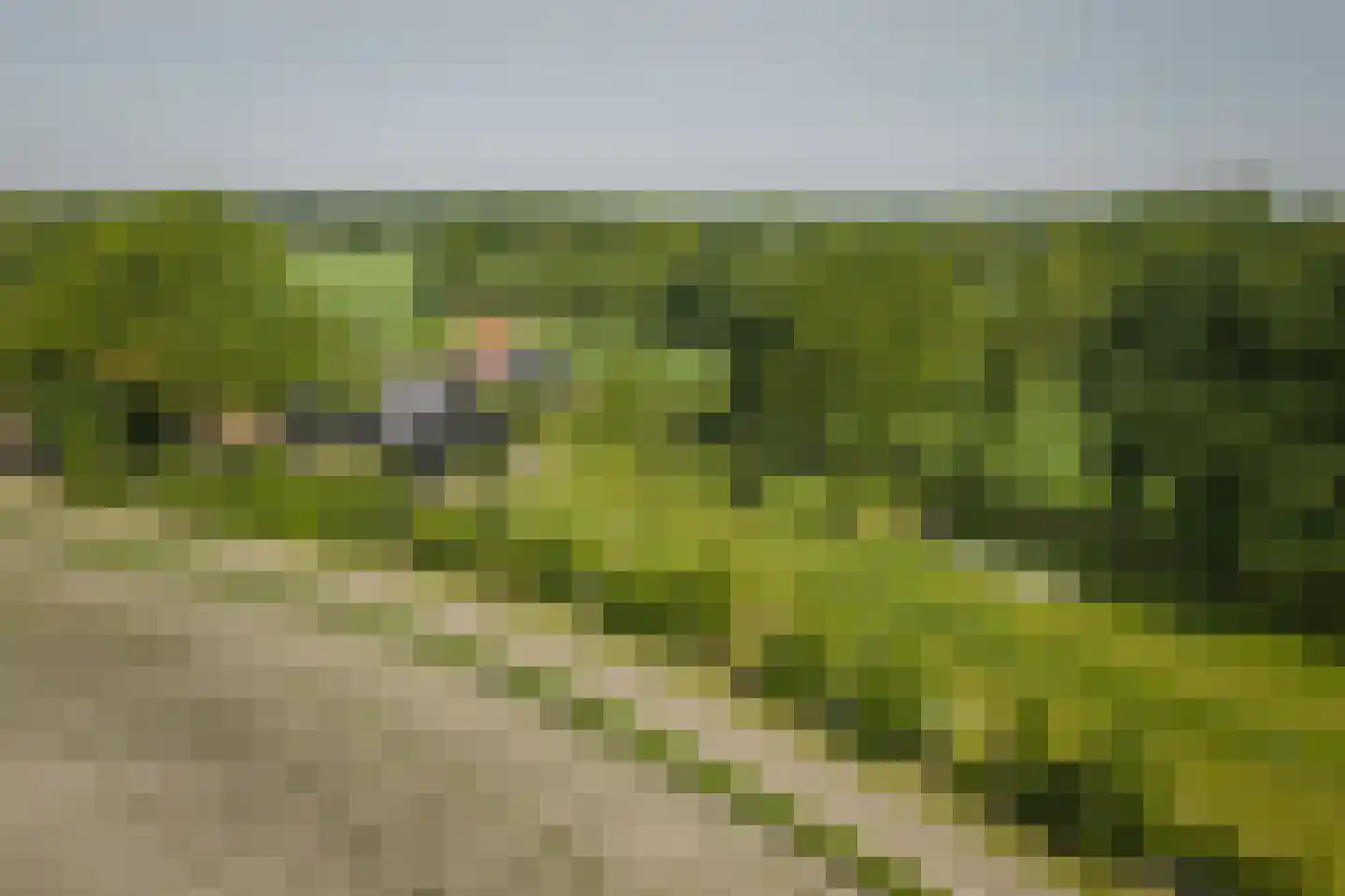 Hooislagen 7 c Lochem thumbnail 63