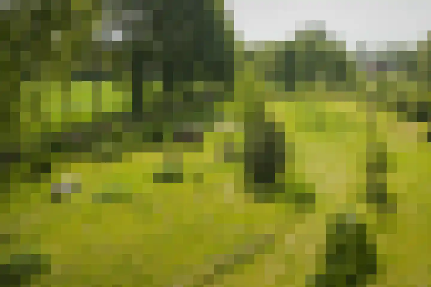 Hooislagen 7 c Lochem thumbnail 7