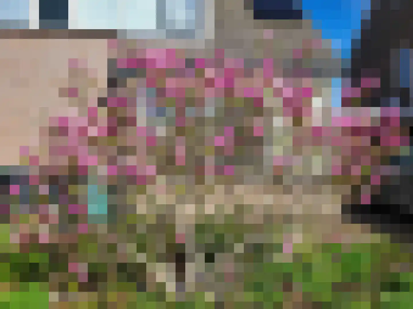 Hooispaad 7 Oostzaan thumbnail 12