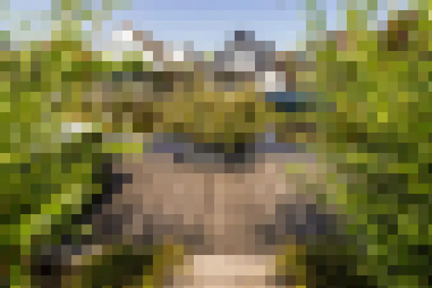 Hooispaad 7 Oostzaan thumbnail 41
