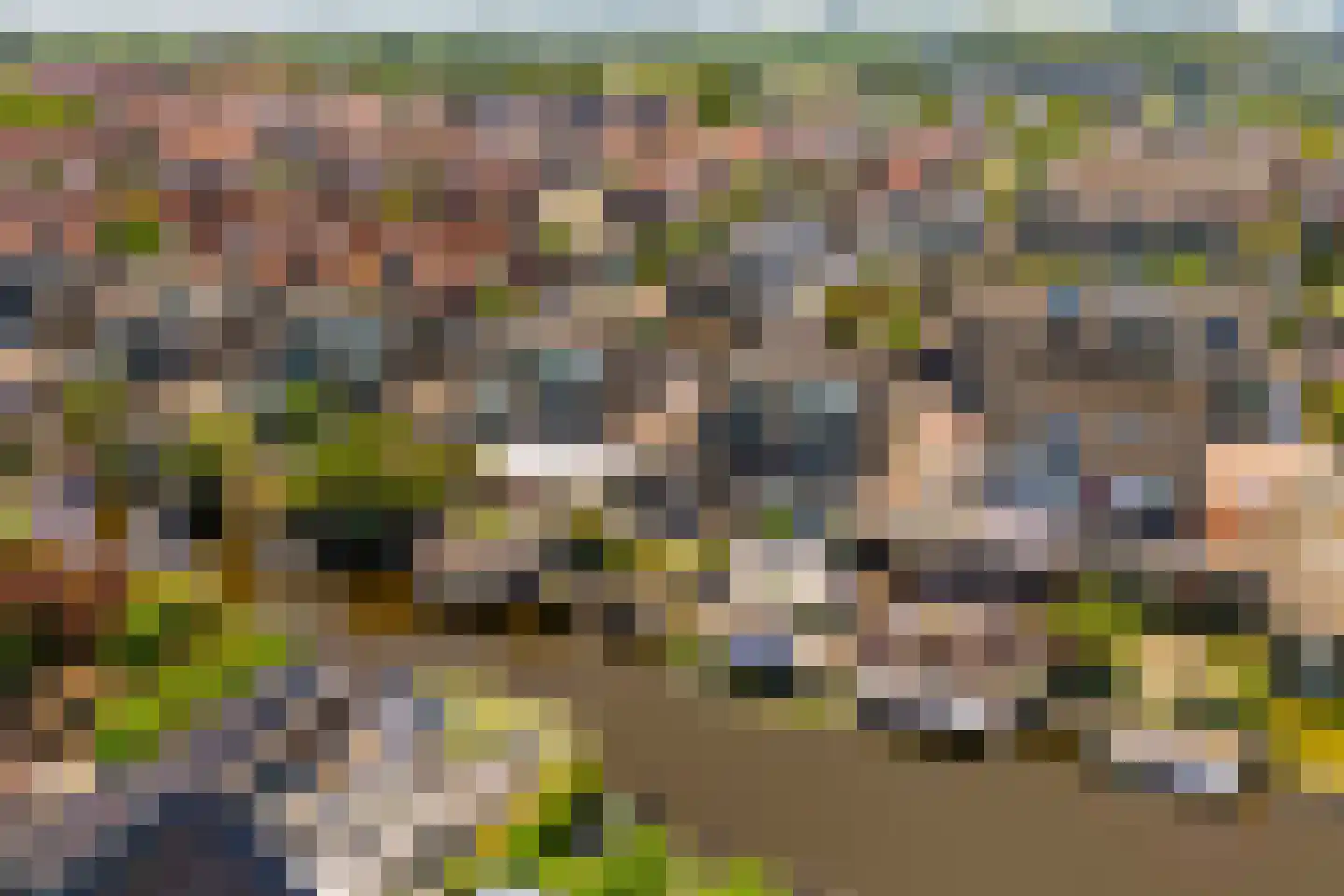 Hooispaad 7 Oostzaan thumbnail 50