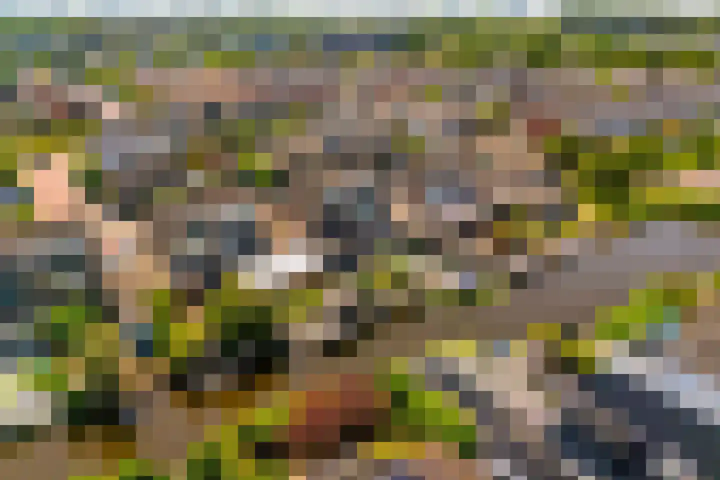 Hooispaad 7 Oostzaan thumbnail 51