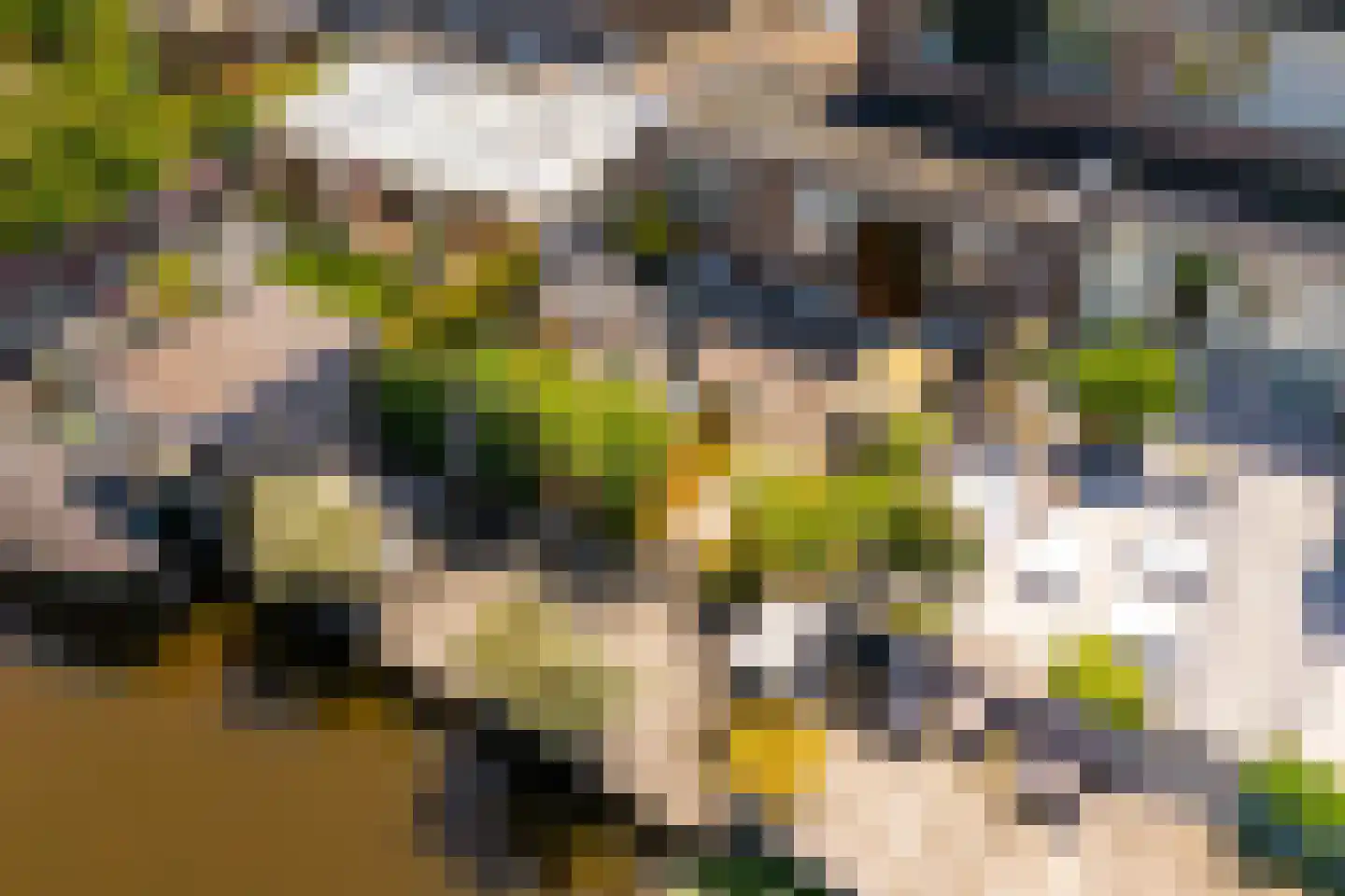 Hooispaad 7 Oostzaan thumbnail 54