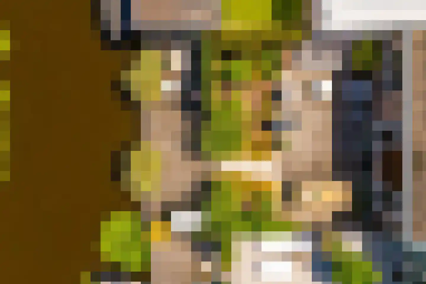 Hooispaad 7 Oostzaan thumbnail 57