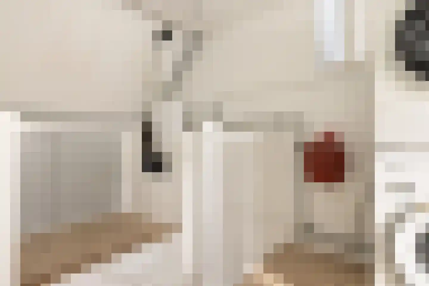 Hooispaad 7 Oostzaan thumbnail 75
