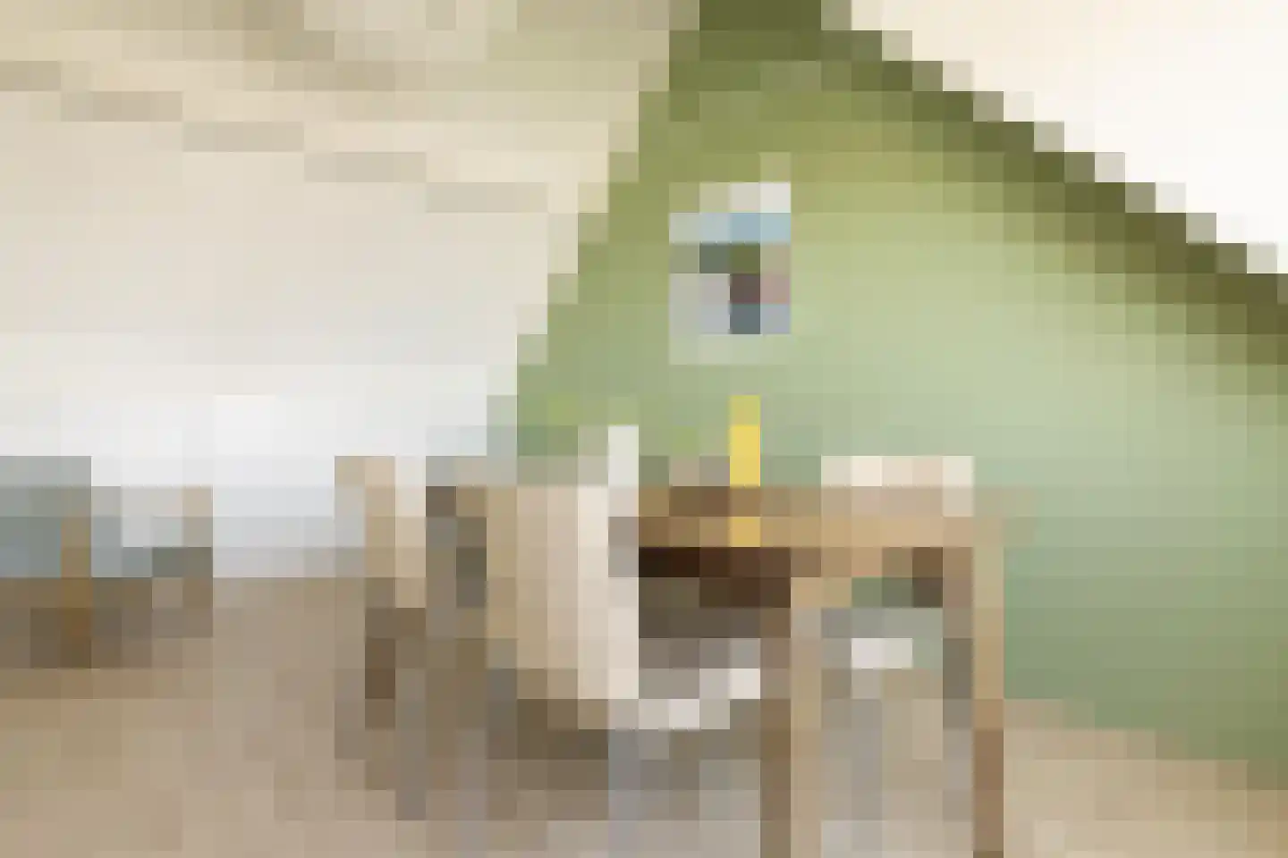 Hooispaad 7 Oostzaan thumbnail 78