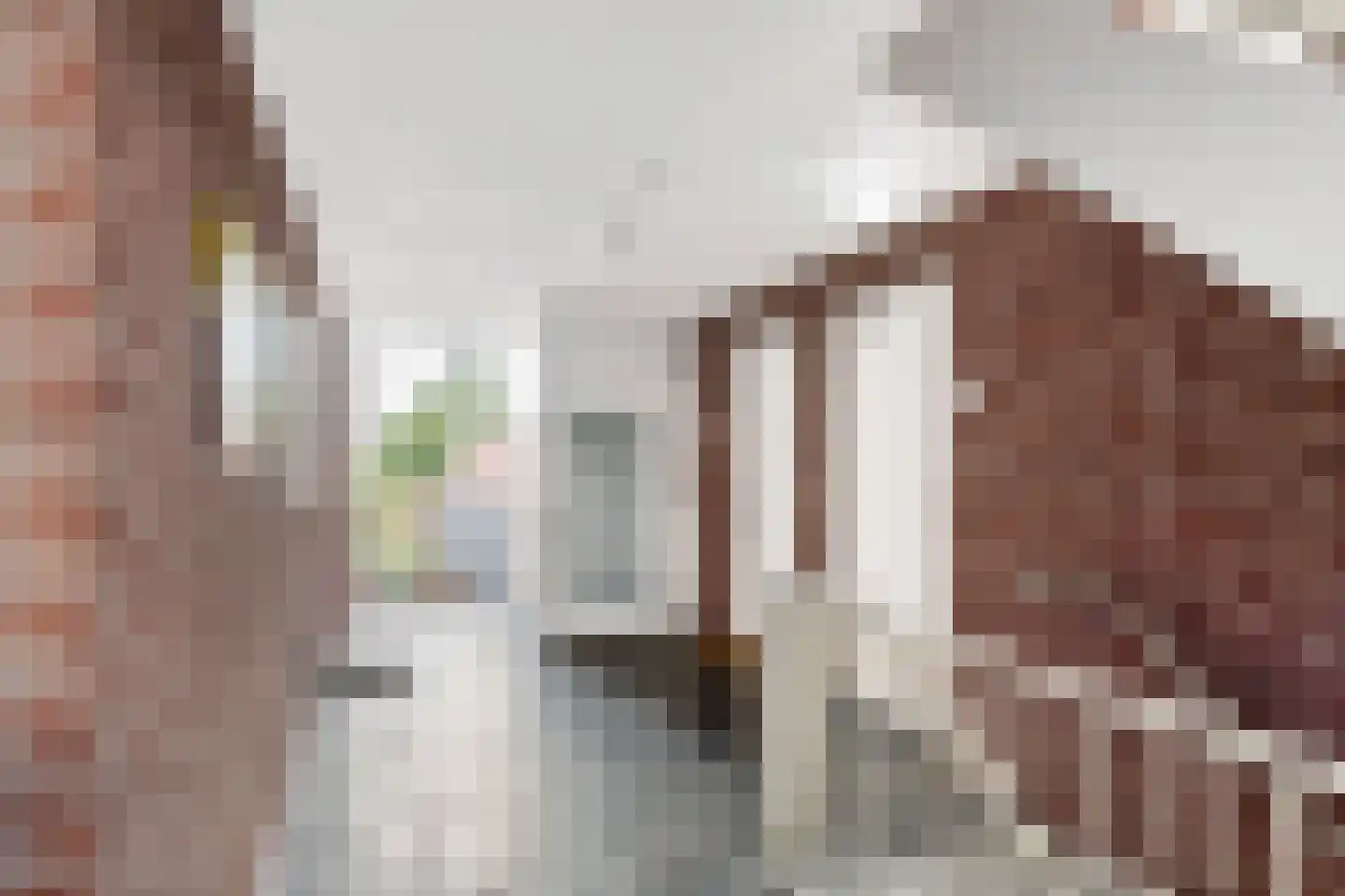 Hooistraat 1 H Druten thumbnail 18