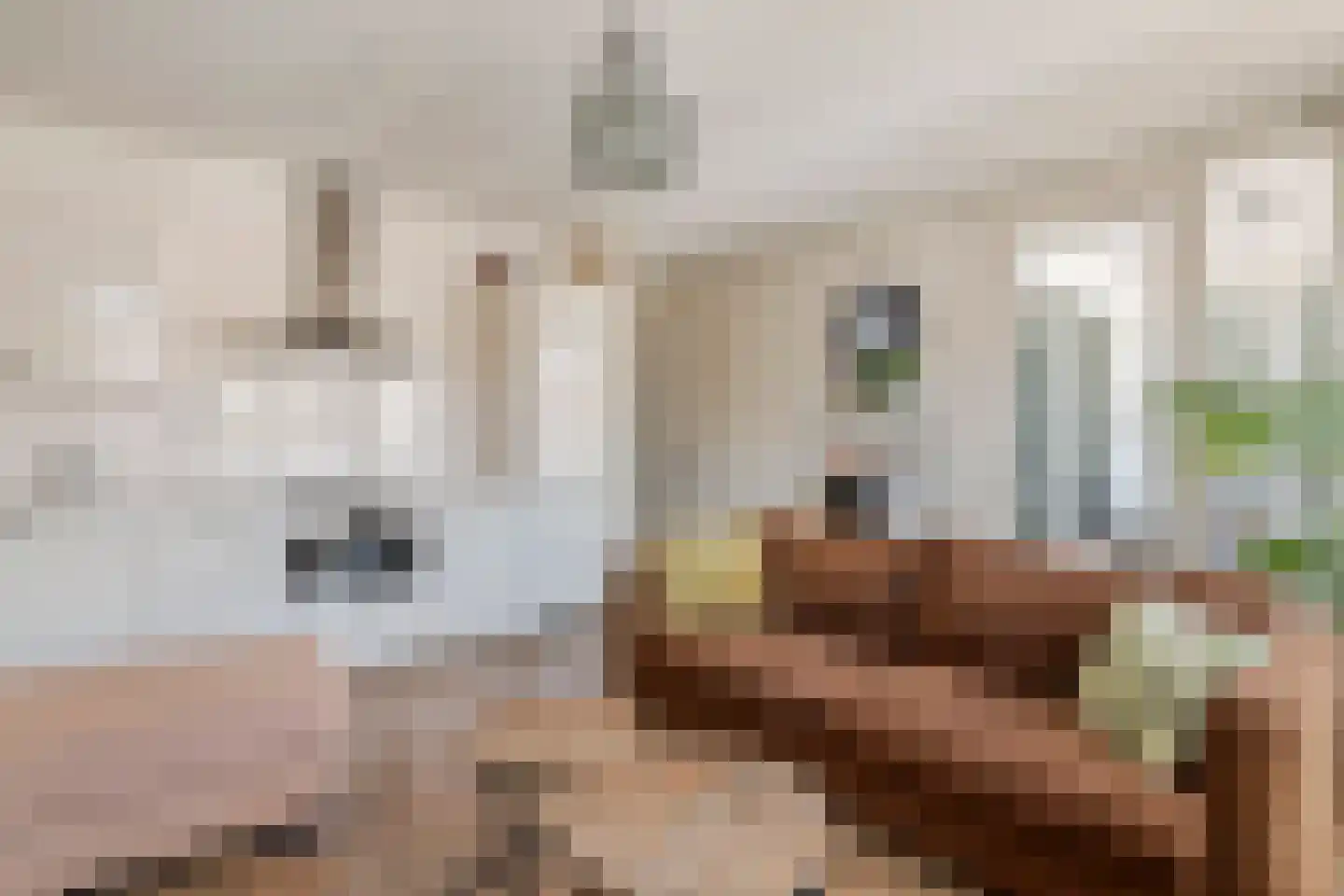 Hooistraat 1 H Druten thumbnail 4