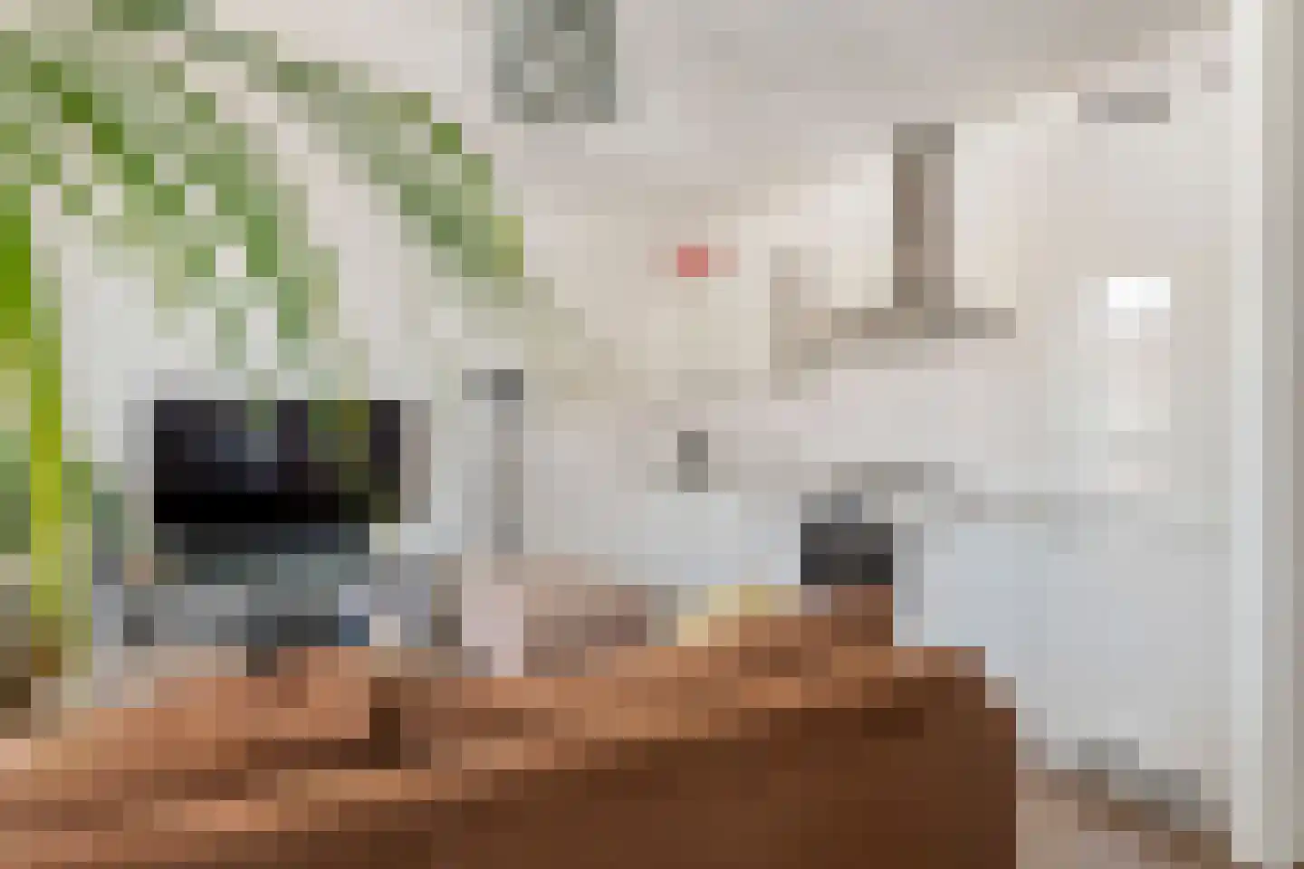 Hooistraat 1 H Druten thumbnail 5