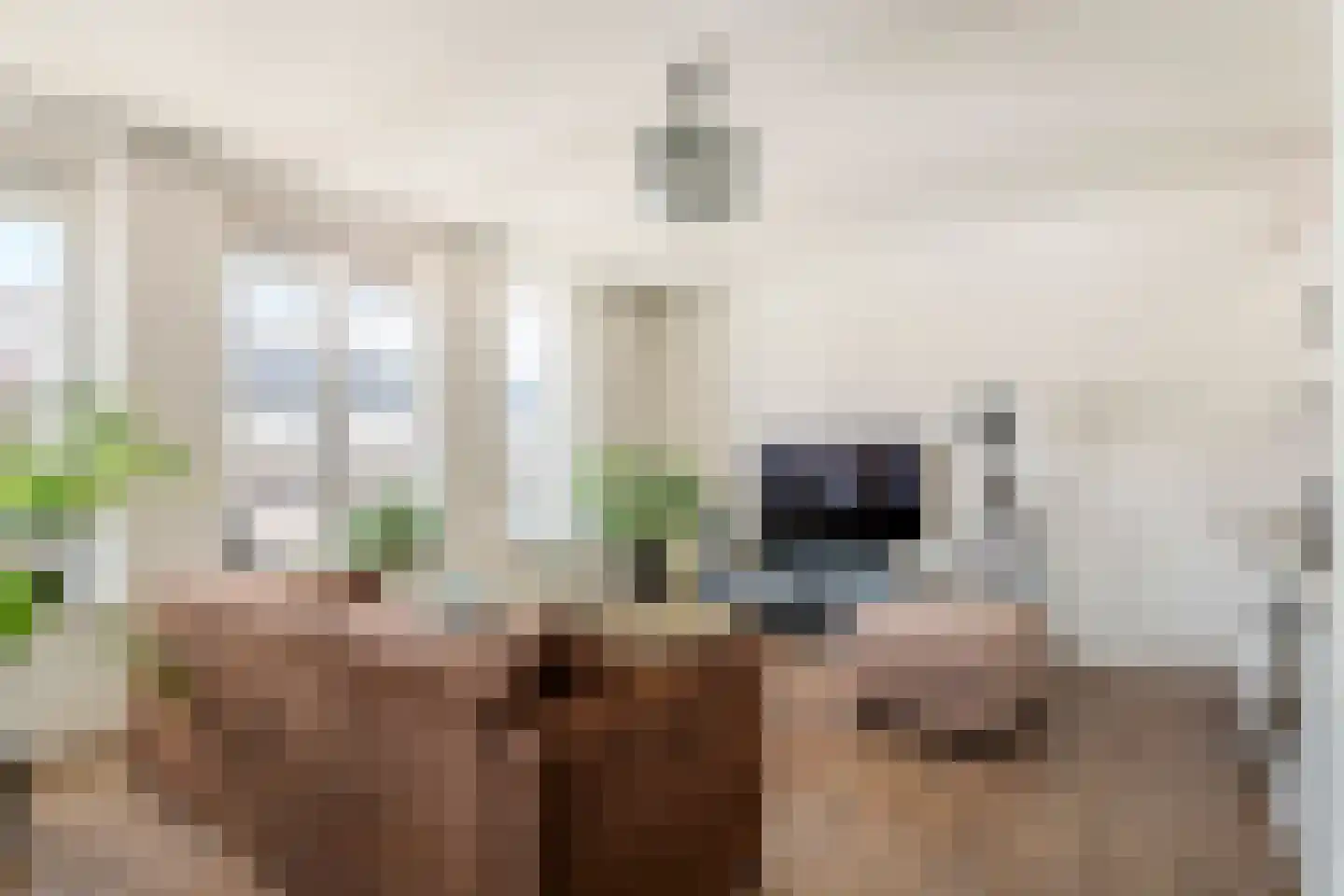 Hooistraat 1 H Druten thumbnail 6