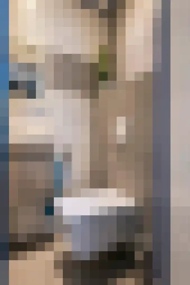 Hooistraat 11 Druten thumbnail 15