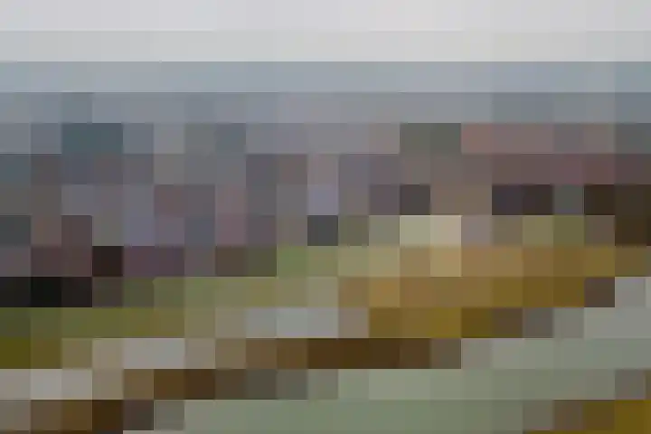 Hooistraat 11 Druten thumbnail 28