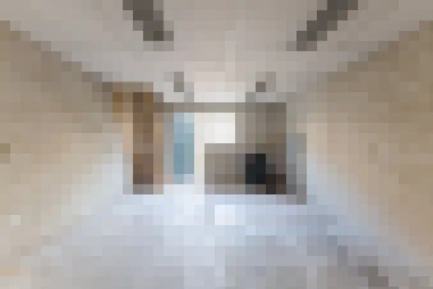 Hooistraat 12 Tilburg thumbnail 18