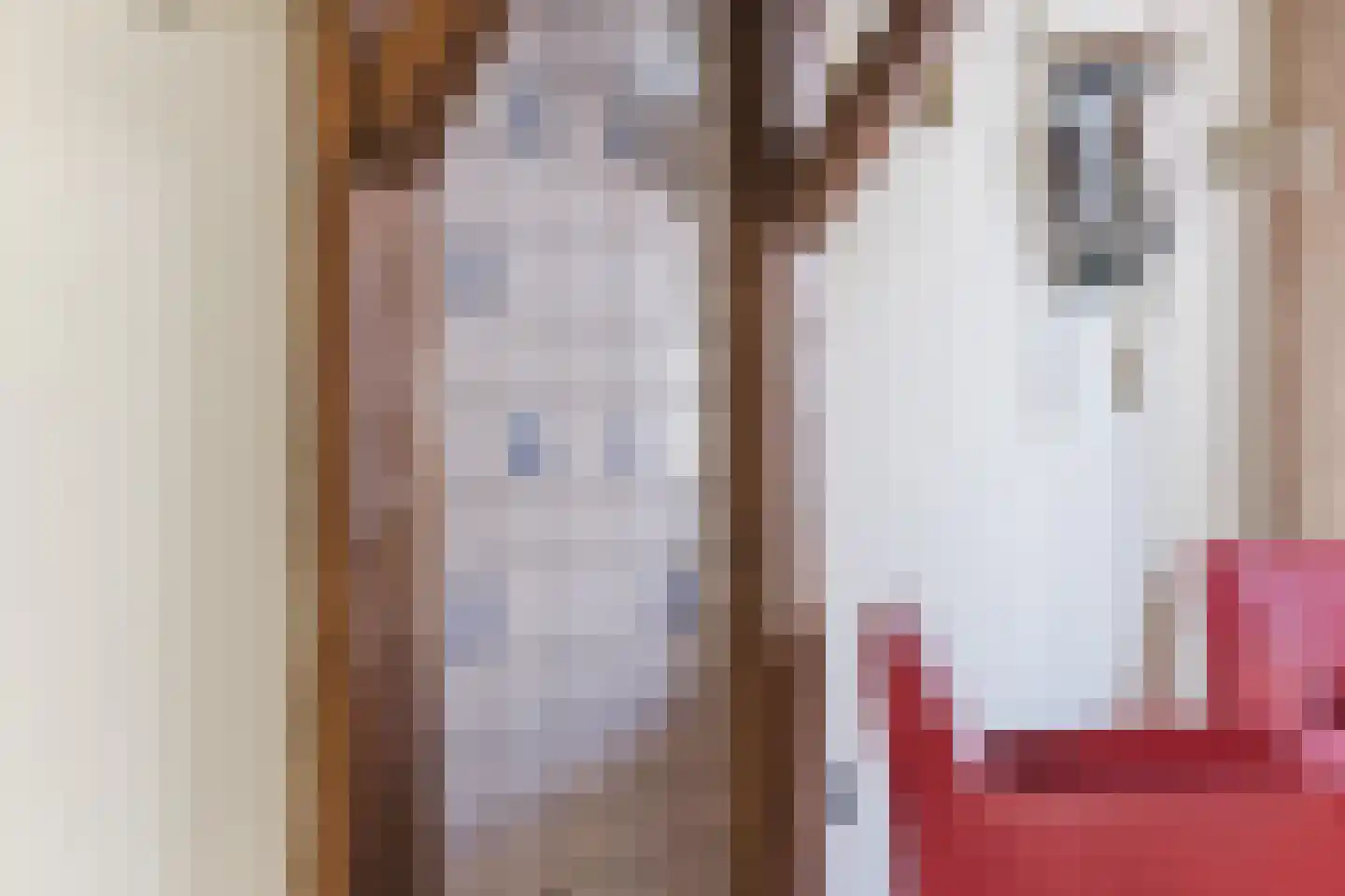 Hooistraat 12 Tilburg thumbnail 5