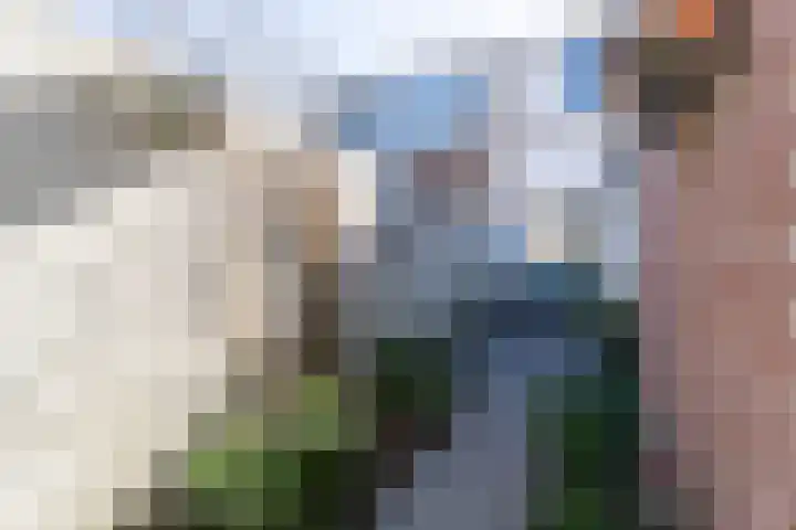 Hooistraat 13 Tilburg thumbnail 26