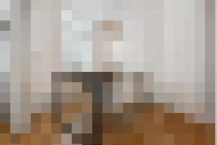 Hooistraat 4 Druten thumbnail 10