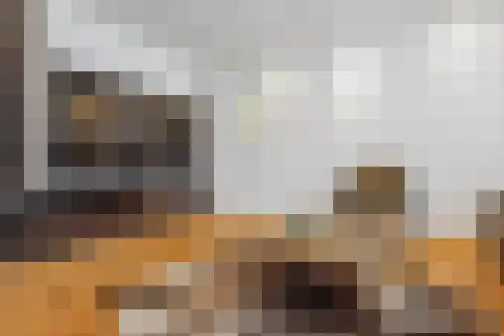 Hooistraat 4 Druten thumbnail 13