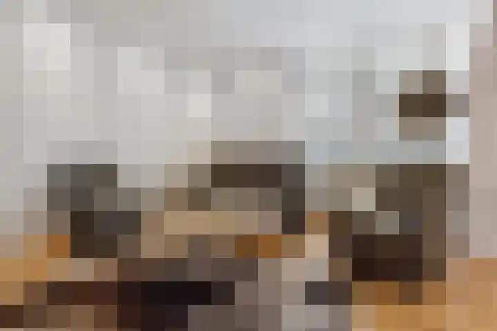Hooistraat 4 Druten thumbnail 14